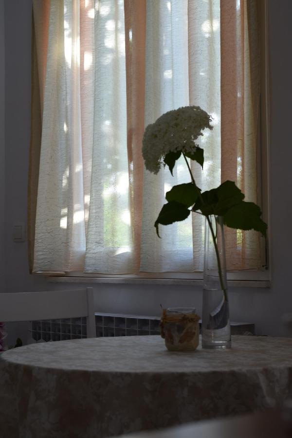 Studio apartman MARINA Vodice Esterno foto
